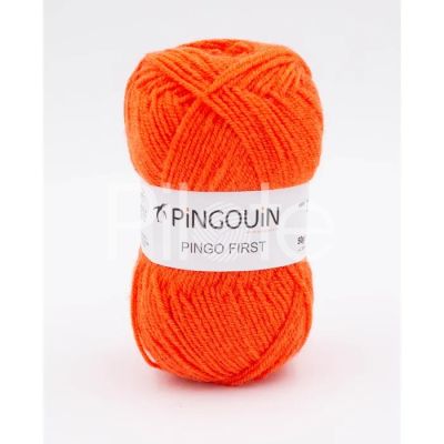 Pingo First