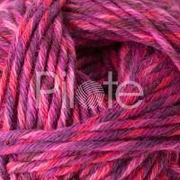 Phil Rainbow Petunia Viacfarebné