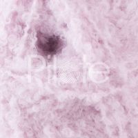 Phil Frisette Romance